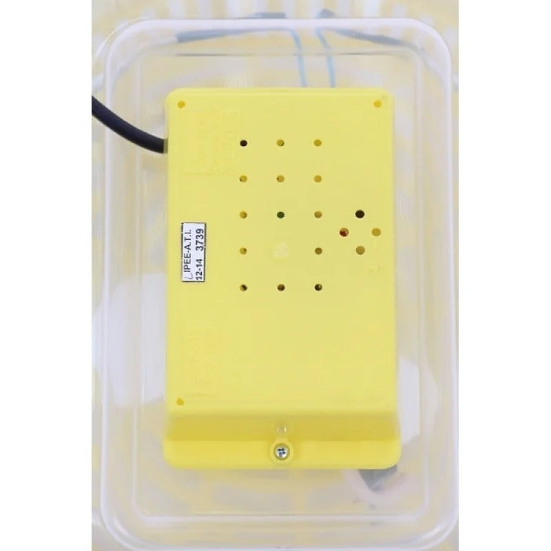 Incubator oua Cleo 5