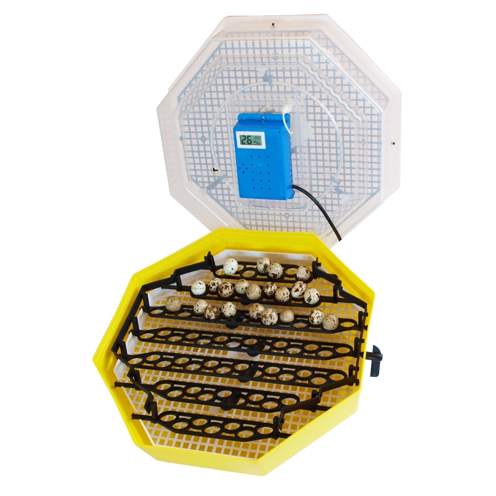 Incubator electric Cleo 5DTH cu dispozitiv intoarcere si termometru