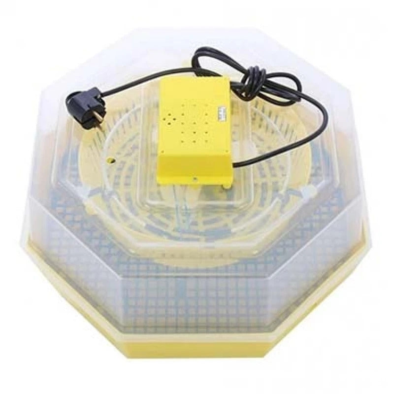 Incubator oua Cleo 5