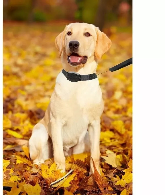 Lesa retractabila pentru caini Lucky Leash