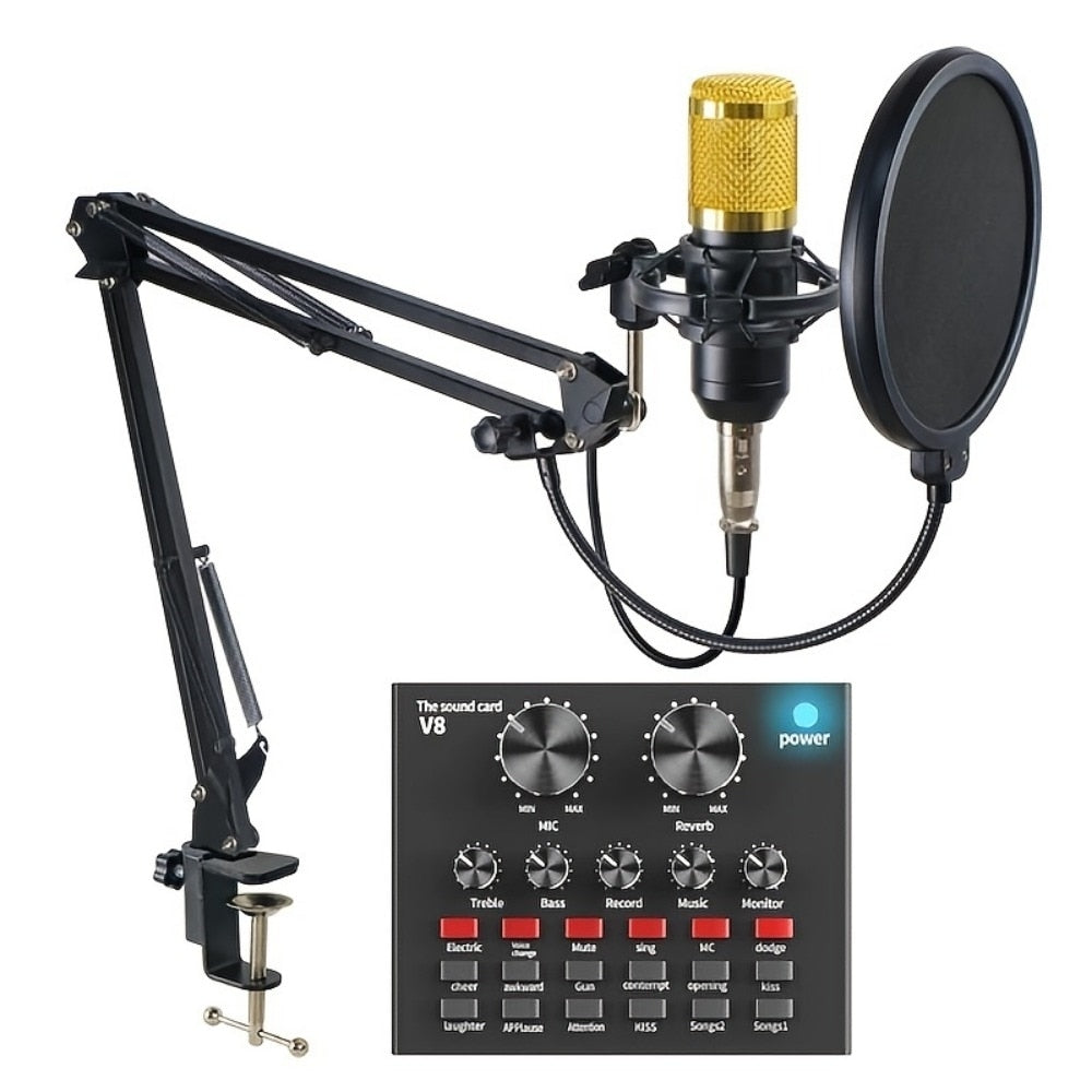 Microfon Profesional de Studio cu Condensator MR™ – BM800 + Placă de Sunet V8