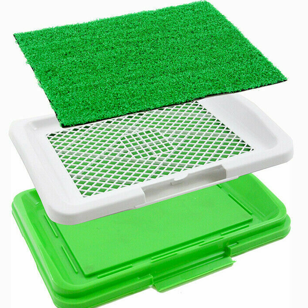 Toaleta Pentru Caini Pet Toilets