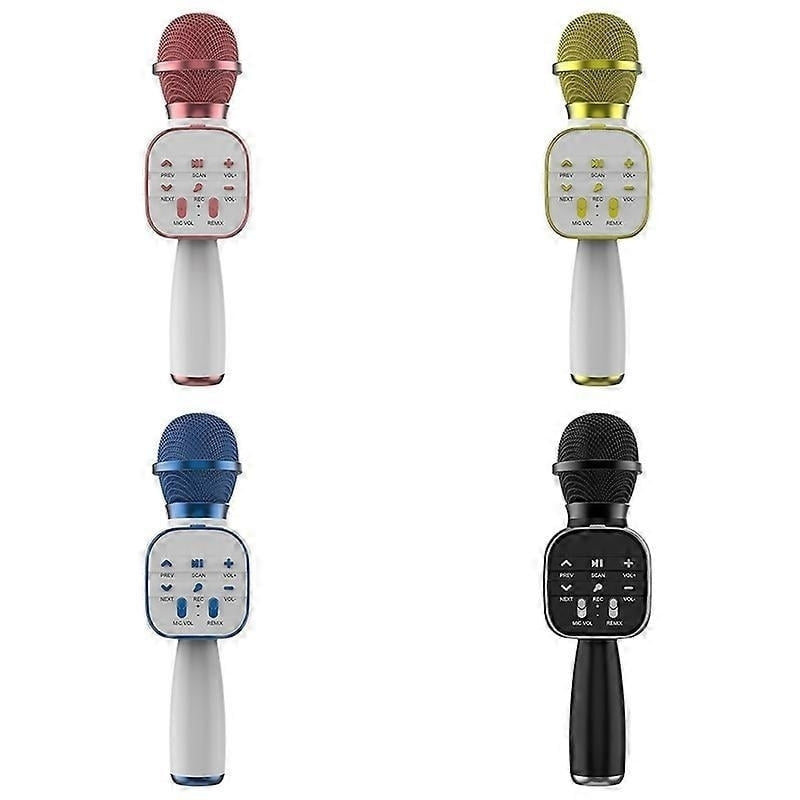 Microfon Karaoke Wireless DS813