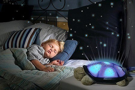 Broasca testoasa luminoasa