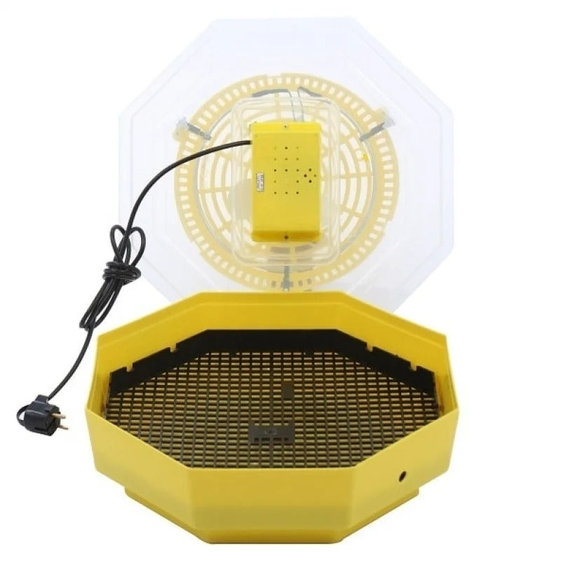 Incubator oua Cleo 5