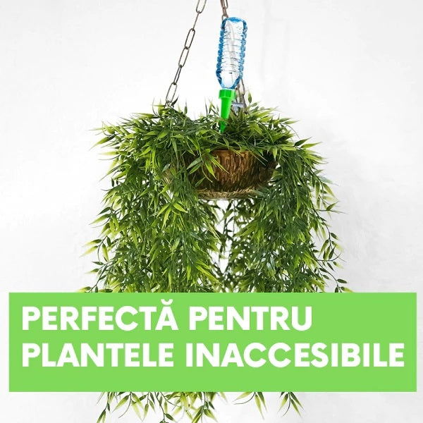 Set 12 dispozitive pentru udarea plantelor și florilor prin picurare