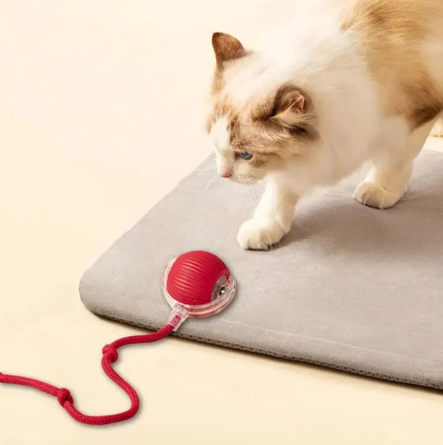 Jucarie interactiva pentru animalute