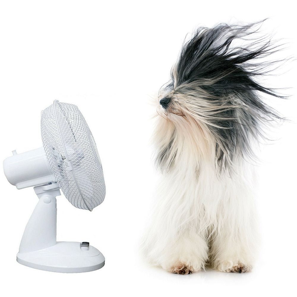 Ventilator ergonomic pentru casă sau birou cu rotire oscilanta: Răcoare și confort silențios, cu 2 viteze - Lichidare stoc