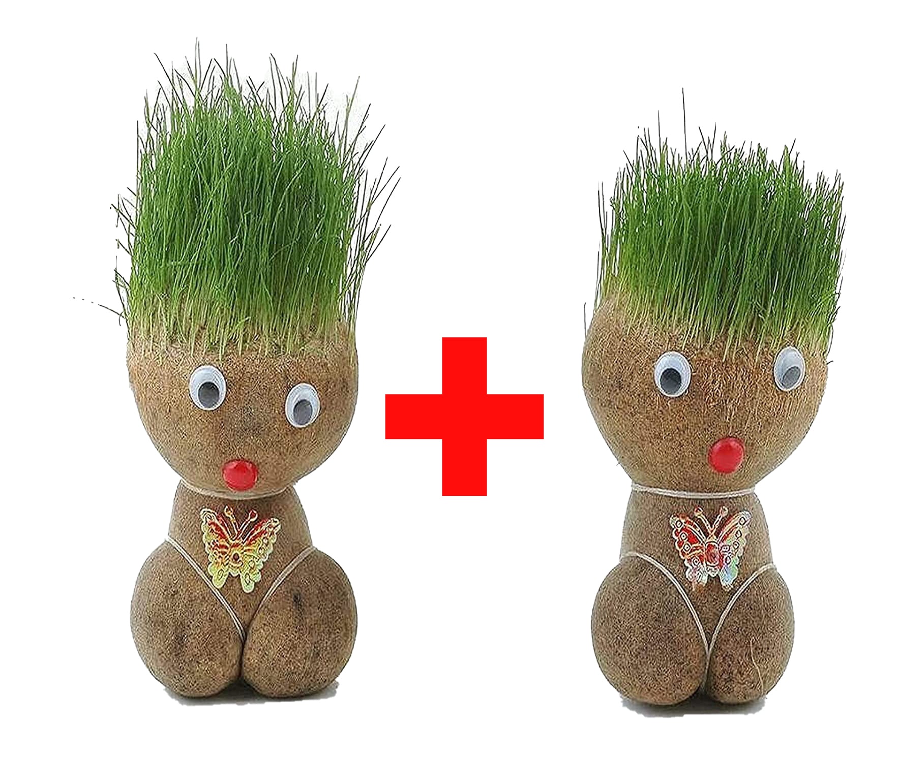 Oferta Limitata ! Set 2 Papusi cu cap de iarba