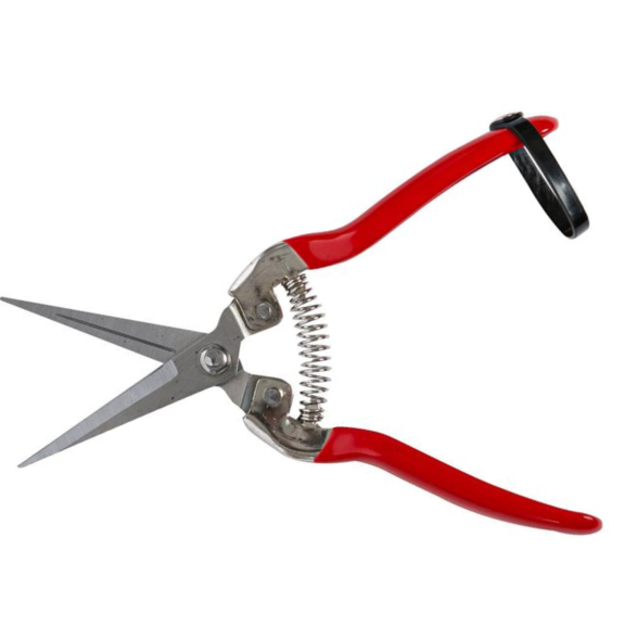 FOARFECE LEGUME/FRUCTE 70MM DREAPTA 