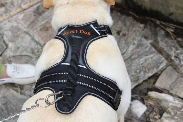 Ham pentru catei cu marime adjustabila intre S - L