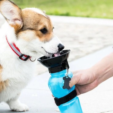 Sticla de apa portabila pentru animale de companie